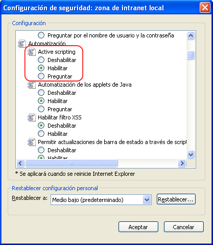 Pantalla Configuración de seguridad habilitar Active scripting